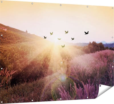 Gards Tuinposter Silhouet Zwerm Vogels bij Zonsondergang - 160x120 cm - Tuindoek - Tuindecoratie - Wanddecoratie buiten - Tuinschilderij