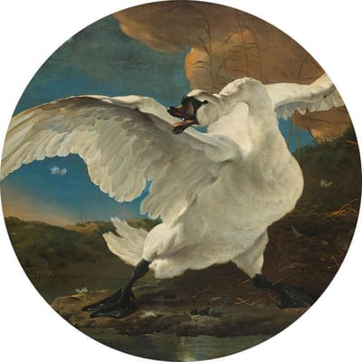 De bedreigde zwaan, Jan Asselijn - Foto op Behangcirkel - ⌀ 120 cm