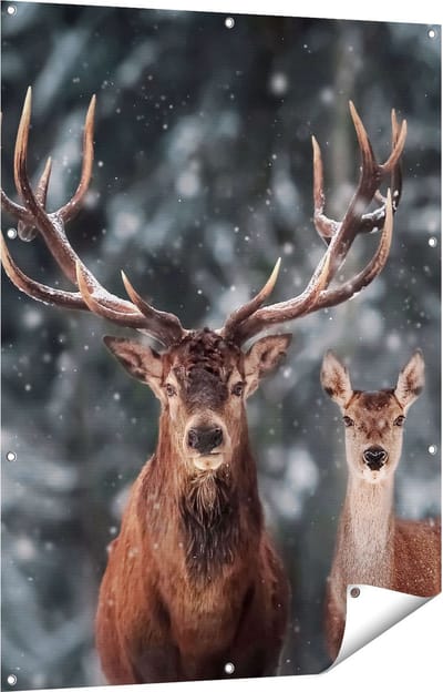 Gards Tuinposter Twee Herten met Sneeuw - 90x120 cm - Tuindoek - Tuindecoratie - Wanddecoratie buiten - Tuinschilderij
