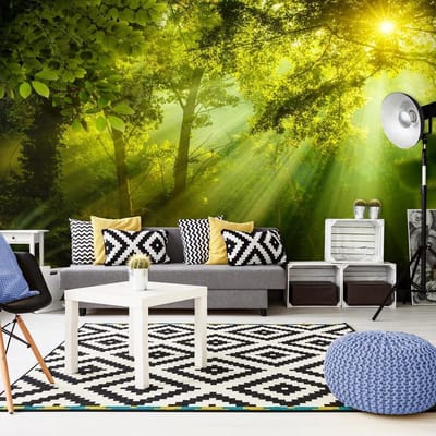 Fotobehang – Behangpapier - Fotobehang XXL -  In a Secret Forest II 500x280 - Artgeist