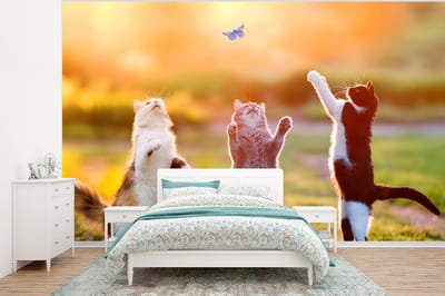 Behang - Fotobehang Katten - Vlinder - Zonsondergang - Gras - Natuur - Breedte 295 cm x hoogte 220 cm