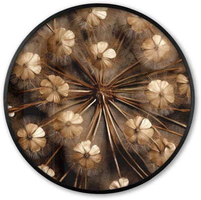 Poster in lijst Rond - Fotolijst 60x60 cm - Posters - Droogbloemen - Bruin - Natuur - Ronde posterlijst zwart - Decoratie - Wanddecoratie woonkamer - Muurdecoratie slaapkamer
