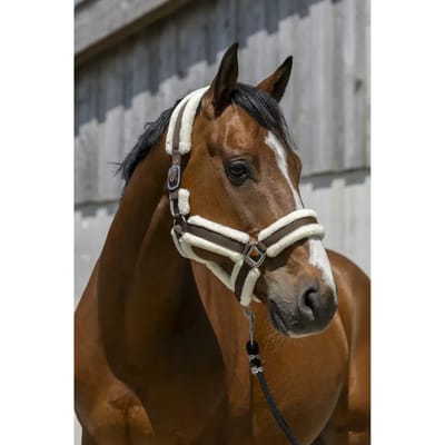 Halster voor paarden Norton Cosy