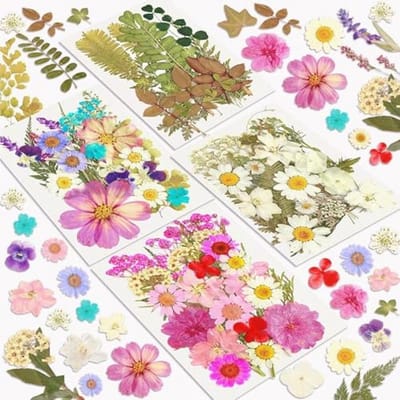 Dried Pressed Flowers voor Hars Molds - 100 Stuks Droge Bloemen voor Creatieve Projecten