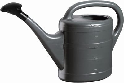 Grote Gietkan 5 Liter met Verwijderbare Douche - Geschikt voor Binnen & Buiten