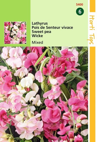 2 stuks - Hortitops - Lathyrus Latifolius Gemengd