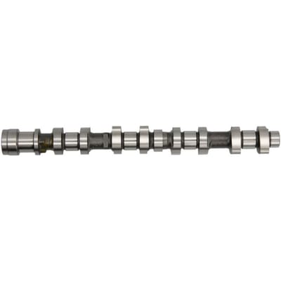 Nokkenas  AE CAM959
