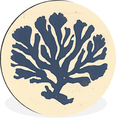 WallCircle - Wandcirkel - Muurcirkel - Blauw koraal - Vertakkingen - Beige - Aluminium - Dibond - 30x30 cm - Binnen en Buiten