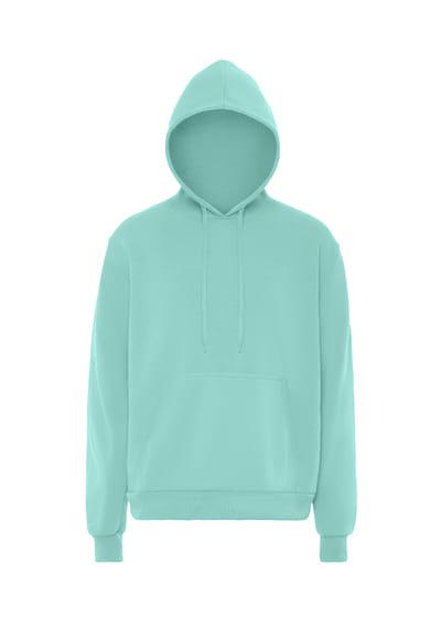Mo Hoodie Heren IJs munt