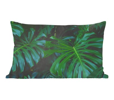 Sierkussens - Kussentjes Woonkamer - 50x30 cm - Monstera - Bladeren - Tropisch - Jungle
