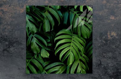 TMK ArtDeko - Serie Monstera - Glazen Beschermplaat - 50x52 cm - Veelzijdig Gebruik