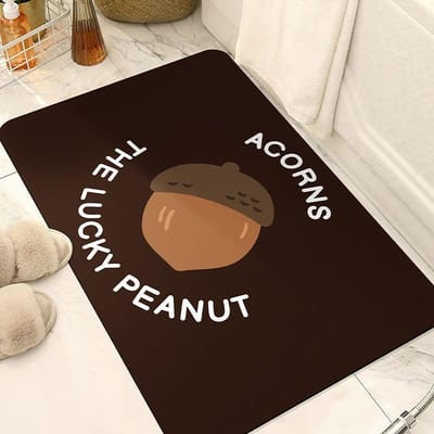 Tapis de sol Fun Nuts pour salle de bain, séchage rapide, absorbant, tapis de porte de salle de bain pour la maison, décoration de maison de location, tapis antidérapant 40 * 60CM [Crystal Fleece] brown