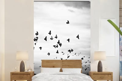 Behang - Fotobehang Dieren - Vogels - Wolken - Zwart - Wit - Breedte 145 cm x hoogte 220 cm