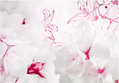 Fotobehangkoning - Behang - Vliesbehang - Fotobehang - Enveloped in white - Bloemen - 150 x 105 cm