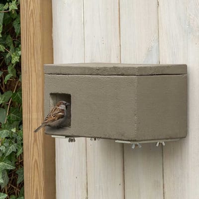 CJ Wildlife Nestkast - Almeria - Woodstone Mussenloft - Nestkastje voor o.a. Koolmees, Boomklevers & Mussen - Houten Vogelhuisje - FSC-gecertificeerd