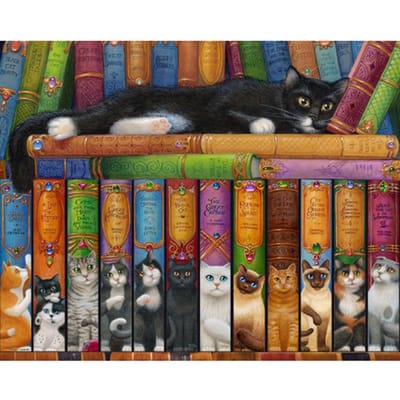 Diamant schilderij Kruissteek Boekenplank Borduurwerk Kattenboek Volledige ronde boor Icoon Diamant borduurwerk 20X30CM