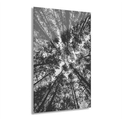 Indoorart - Glasschilderij opening in het bos 40x60 CM - Afbeelding op plexiglas - Inclusief montagemateriaal