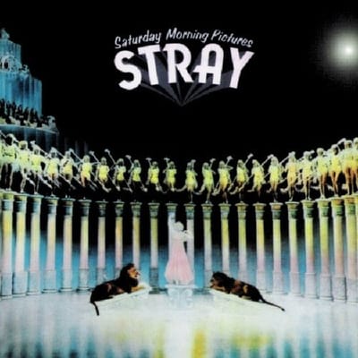 Saturday Morning Pictures - Stray