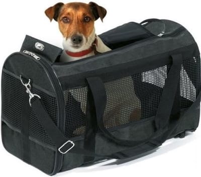 Hondentas Flamingo Divina – sportieve honden draagtas – draagtas hond & kat – zwart – maat M – 46 cm – tot 9 kg