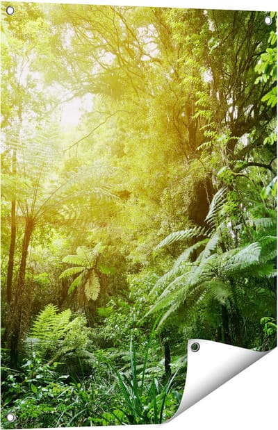 Gards Tuinposter Tropische Jungle met Zonneschijn - 60x80 cm - Tuindoek - Tuindecoratie - Wanddecoratie buiten - Tuinschilderij