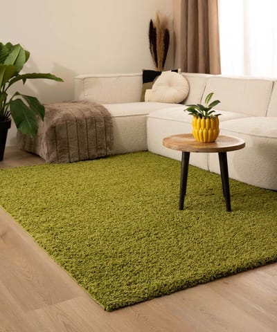 Hoogpolig vloerkleed - Shaggy Trend groen 240x340