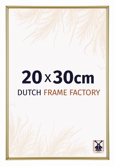 Fotolijst 20x30 cm - Kunststof - Goud - Angers