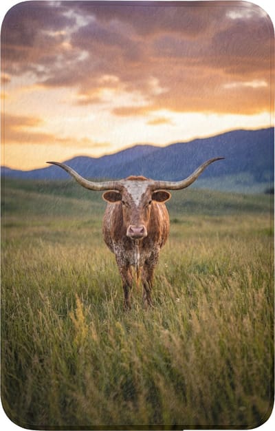 WC mat 50x80 cm - Antislip - Longhorn - Landschap - Zonsondergang - Toiletmat - Vloermat - Douchemat - Toilet tapijt - Toiletmatten