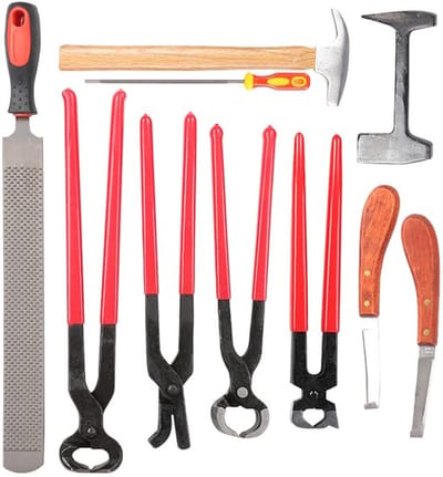 Dailygoods- Hoefsmid Gereedschap 9 Stuks - Staal/Ijzer - Hoefijzertang/Nageltang - Hoefijzernagelhamer - Hoefijzervijl met Handvat - Volledig Uitgeruste Accessoires - Hoefgereedschap