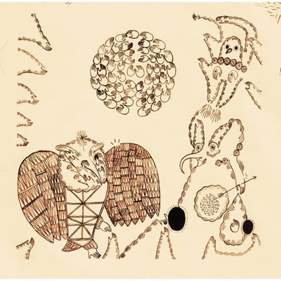 Devendra Banhart - Rejoicing In The Hands (CD)