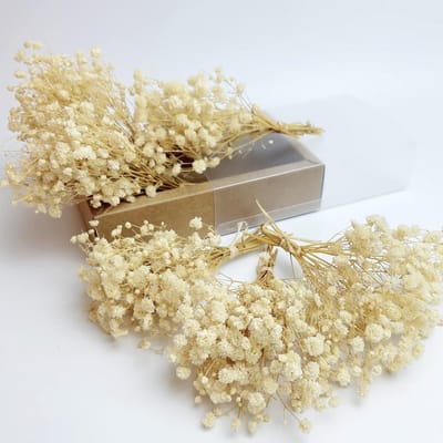 Mini Boeketten - Geconserveerde Bloemen - Woondecoratie Knutselen - 100% Natuurlijk - 6 Stuks - Wit