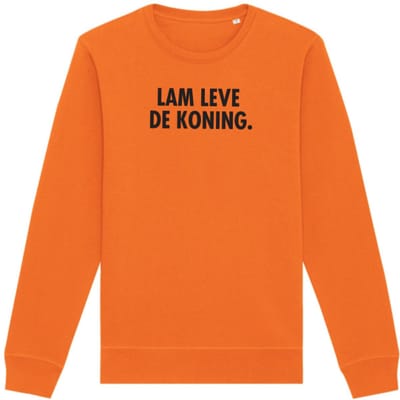 Sweater oranje S - Lam leve de koning - soBAD. - Koningsdag - Unisex - Oranje - Voetbal - Nederland