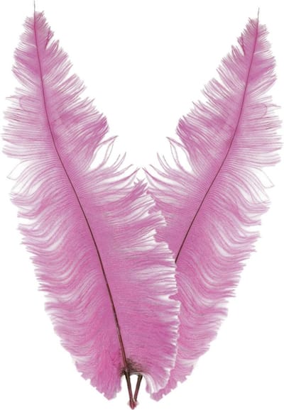 Grote struisvogelveer/pietenveer - 2x - roze - 40 cm - Charleston/jaren 20/twenties thema verkleed accessoire