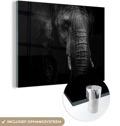 MuchoWow® Glasschilderij 120x90 cm - Schilderij acrylglas - Olifant - Dier - Portret - Foto op glas - Schilderijen