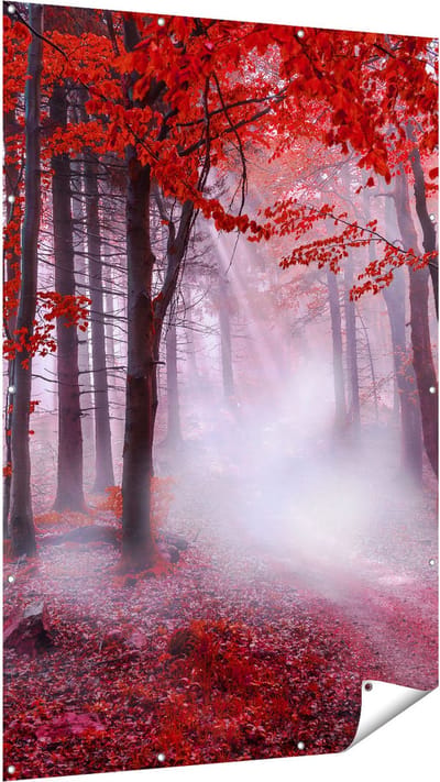 Gards Tuinposter Rood Bos met Bomen - 120x180 cm - Tuindoek - Tuindecoratie - Wanddecoratie buiten - Tuinschilderij