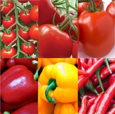 Tomaten zaden, paprika zaden en peper zaden assortiment zaadlint