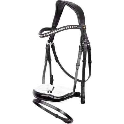 Anatomische hoofdstellen BR Equitation Bolton