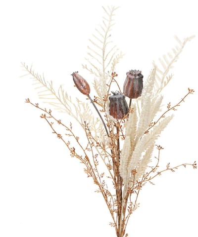 Maanzaaddozen, decoratieve gedroogde bloemen, kunstmatige varen, crème