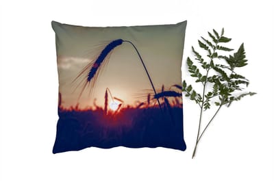 Sierkussens - Kussentjes Woonkamer - 40x40 cm - Gras - Herfst - Zonsondergang - Seizoenen - Landschap