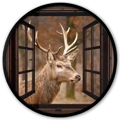 Poster in lijst Rond - Fotolijst 40x40 cm - Posters - Hert - Dier - Bos - Herfst - Hertenkop - Bruin - Doorkijk - Ronde posterlijst zwart - Decoratie - Wanddecoratie woonkamer - Muurdecoratie slaapkamer