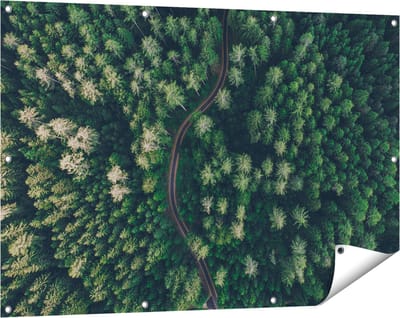 Gards Tuinposter Weg Door Bos met Bomen - Bovenaanzicht - 120x80 cm - Tuindoek - Tuindecoratie - Wanddecoratie buiten - Tuinschilderij