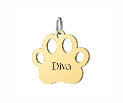 Hondenpenning RVS Hondenpoot | Gouden Hondenpoot Penning | Inclusief Graveren | Hondenpenning graveren | Petshop Seven®