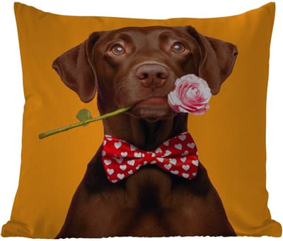 Tuinkussen - Hond - Oranje - Roos - Valentijn - 40x40 cm - Weerbestendig