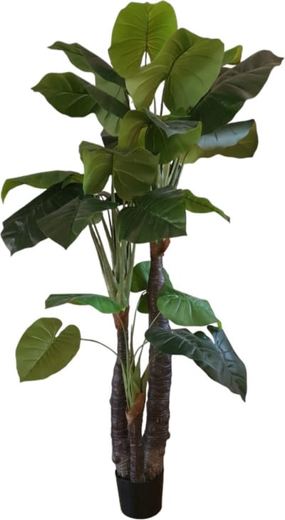 Mica Decorations Kunstplant Taro groen in pot H200 x D 100cm