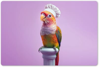 Placemats 45x30 cm - Placemat kunststof - 1 stuk - Papegaai - Koksmuts - Pilaar - Vogel - Borden onderleggers - Decoratie voor op tafel - Keuken tafeldecoratie accessoires - Vinyl onderlegger - Tafelversiering