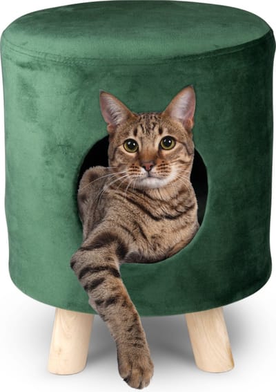 maxxpro Kattenmand op Pootjes - Poef - 100% Polyester - tot 80kg - 33 cm - Groen