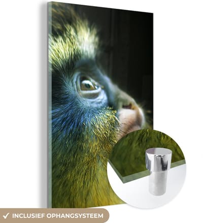 MuchoWow® Glasschilderij 120x180 cm - Schilderij acrylglas - Aap - Vacht - Zwart - Foto op glas - Schilderijen
