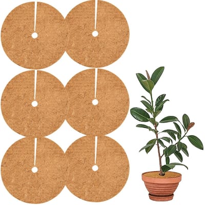 Solidchoice - Kokos-mulchschijven - Winterbescherming - 20 cm - Kokosvezel - Vorstbescherming voor potplanten - Geschikt voor vier seizoenen