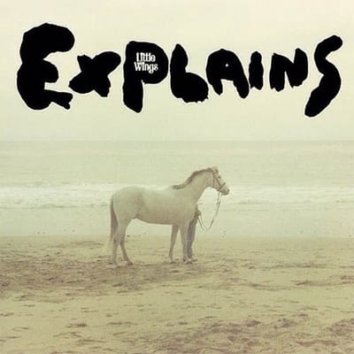 Little Wings - Explains (LP)