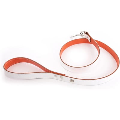 Hondenriem Martin Sellier Allure T100