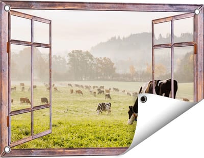Gards Tuinposter Doorkijk Zwart Witte Koeien in de Wei - 60x40 cm - Tuindoek - Tuindecoratie - Wanddecoratie buiten - Tuinschilderij